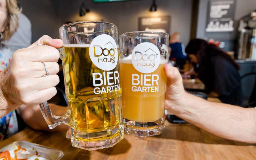 Friends cheersing craft beers during Happy Hour at Doghaus Chandler.